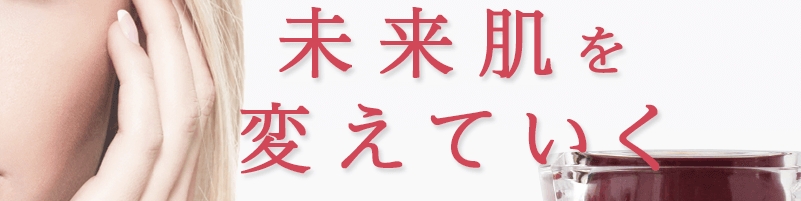 HAS���C�X�g�N���[���E�ې��x�[��
���T�C�g